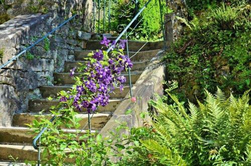 Hotel H�tel D'orfeuil