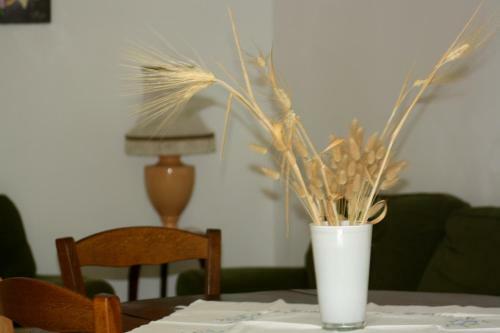 Mas De Bellegou Bed And Breakfast