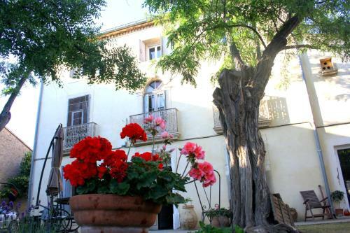 Mas De Bellegou Bed And Breakfast