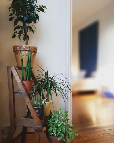 Hostal Maison Saint James