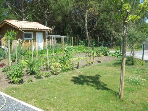 Apartamento Arregui Lalanne