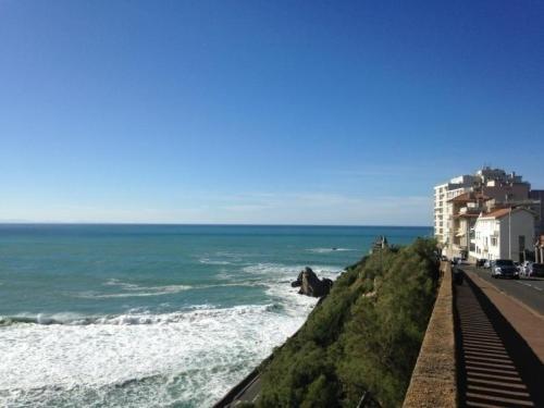 Apartment Victoria Surf 415