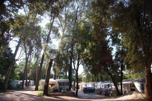 Camping De La Foux