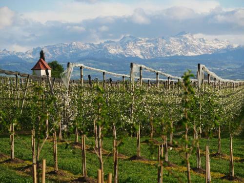 Apartamento H�hlerhof
