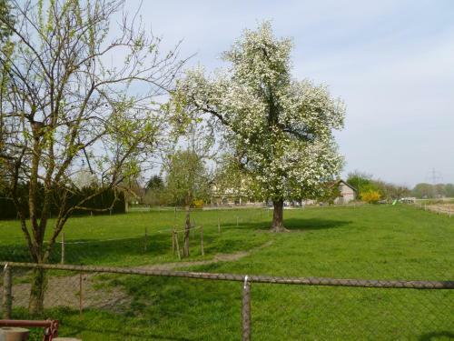 Hostal Haus Lissi