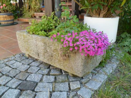 Hostal Haus Lissi