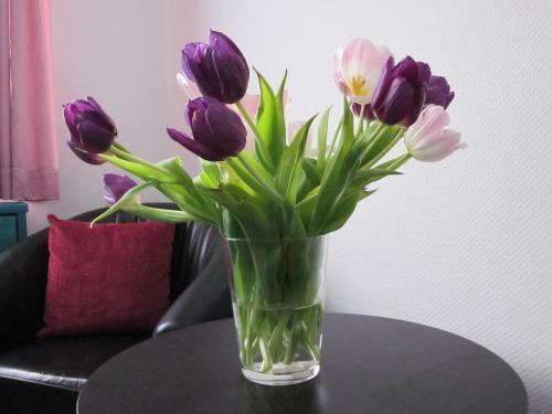 Hotel Anlage Heidelberg