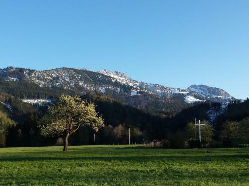 Apartamento Ferienwohnung Aiblinger