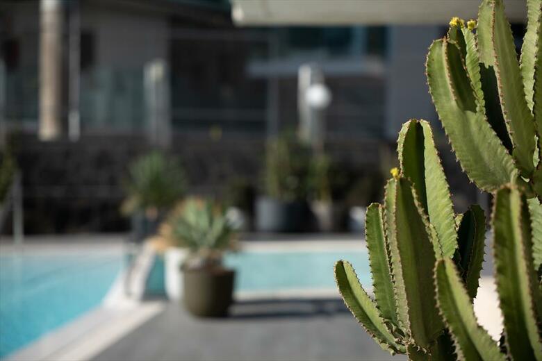 Apartamentos El Palmar