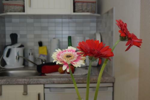 Apartamento Ferienapartments Urlaub Und Meer