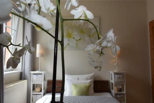 Apartamento Ferienapartments Urlaub Und Meer