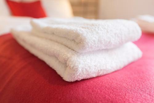 Apartamento Kuckucksnester Menzenschwand (Vorderdorf)