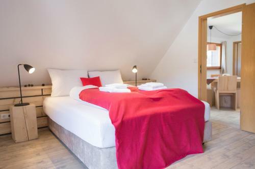 Apartamento Kuckucksnester Menzenschwand (Vorderdorf)