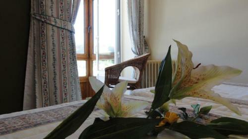 Hotel Montero