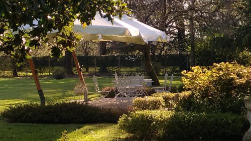 Bed & Breakfast Villa Zane