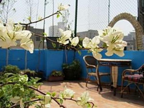Hostal Arabian Nights Hostel