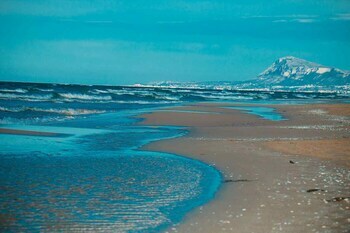 Apartamento Oliwood Beach