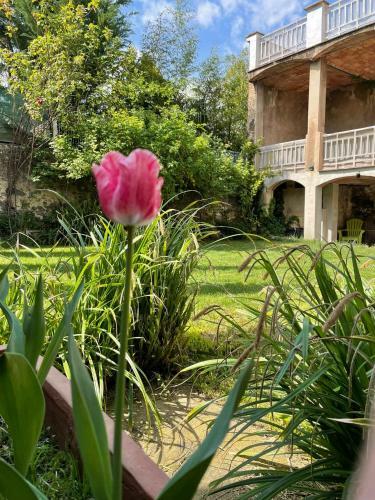 Apartamento Cal Mestre