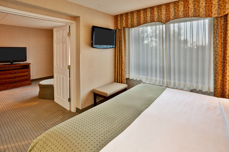 Holiday Inn Hotel  Suites Ann Arbor Univ. Mic