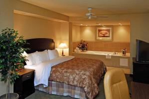 Hotel Homewood Suites By Hilton Burlington