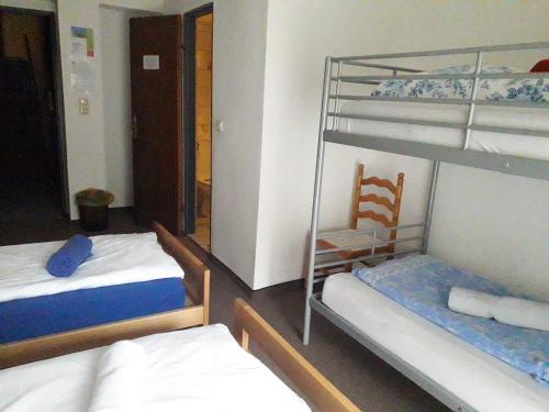 Hostal The Treehouse Backpacker Hotel
