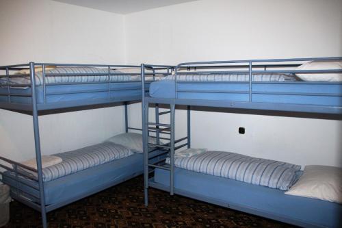 Hostal The Treehouse Backpacker Hotel