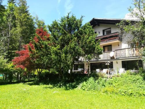 Hostal The Treehouse Backpacker Hotel