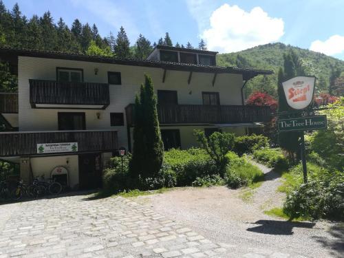 Hostal The Treehouse Backpacker Hotel
