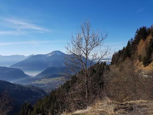 Bed & Breakfast Chalet Sous Le Jora - Chambres D'h�tes