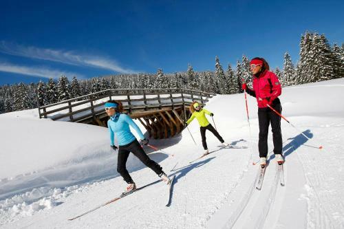 Camping Le Vercors