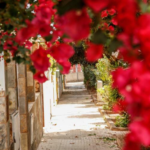Bed & Breakfast Sogno Di Gio