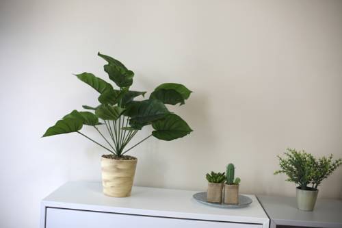 Apartamento Laborda