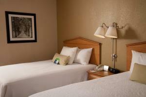 Hotel Hampton Inn Columbus