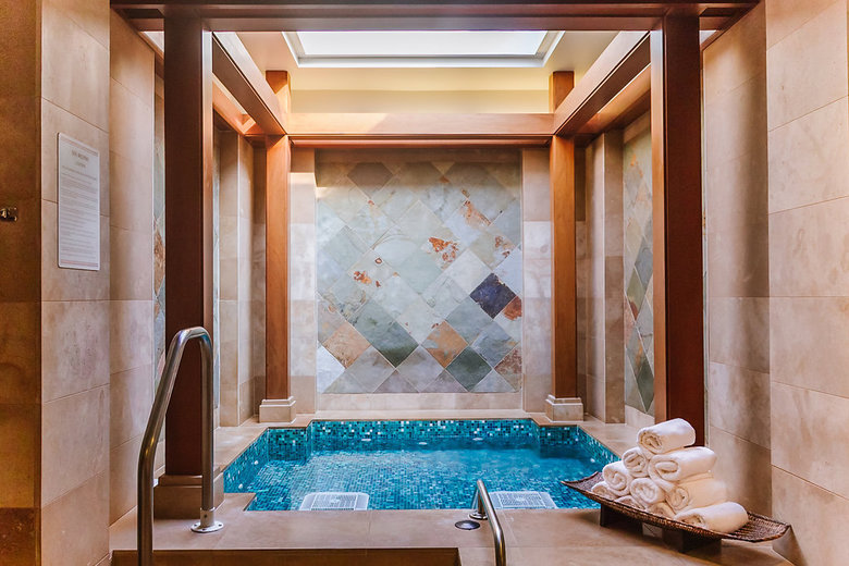 Hotel Hyatt Regency Maui(aloha Ter V