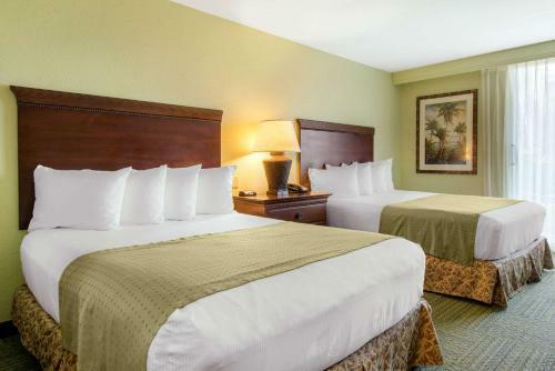 Hotel Treasure Bay Resort And Marina