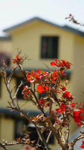 Hotel Fanglian Lake Resort