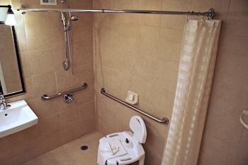 Hotel Embassy Suites Denver - Southeast (hampden Avenue)