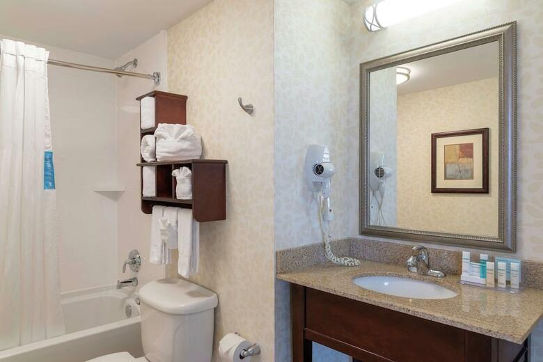 Hotel Hampton Inn Downtown, Across From Circle Center