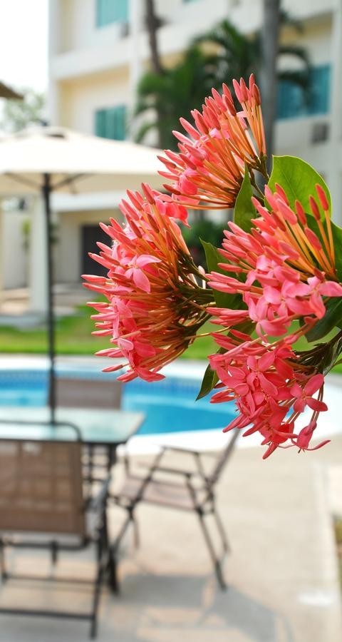 Hotel Best Western Plus Tuxtepec
