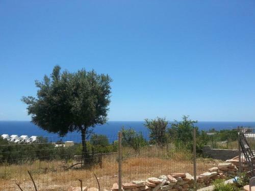 La Maroja View Hotel