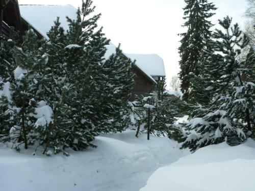 Aparthotel Hapimag Resort Braunlage