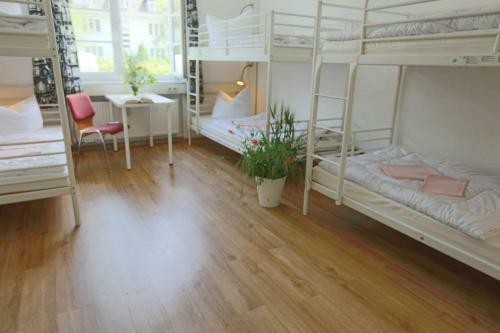 Albergue Family Inn Herberge