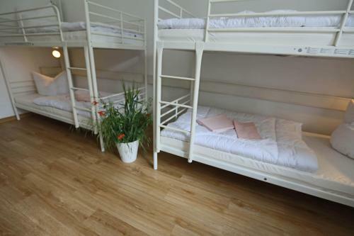 Albergue Family Inn Herberge