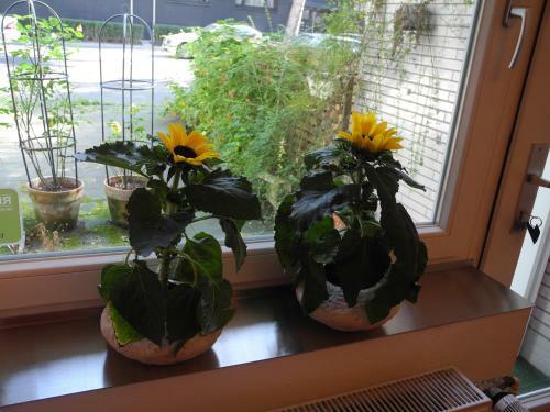 Apartment In K�ln