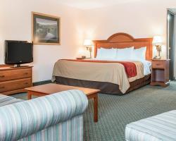 Hotel Comfort Inn Farmington Hills