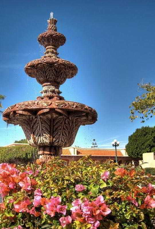 Hotel Dobson Ranch Inn And Resort