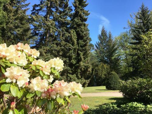 Apartamento Residenz Bleichr�der - Ferienwohnung Teja