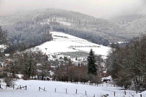 Hotel Niedersfeld-winterberg