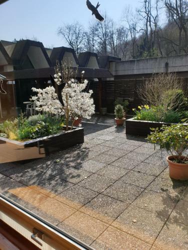 Apartamento 3 Dtv Sterne Fewo M�nster - Pool & Sauna