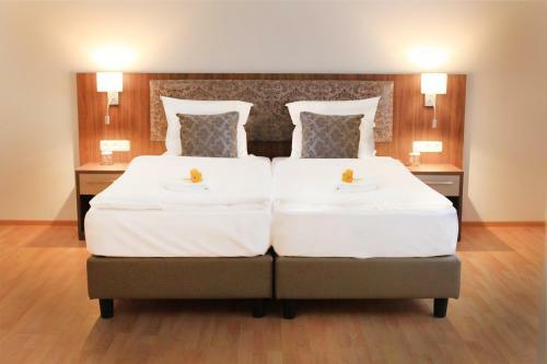 Frankair Star Hotel Frankfurt Airport